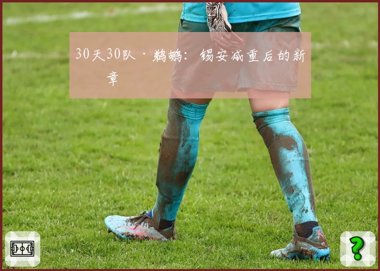 30天30队·鹈鹕：锡安减重后的新篇章