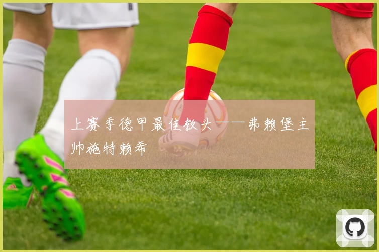 上赛季德甲最佳教头——弗赖堡主帅施特赖希