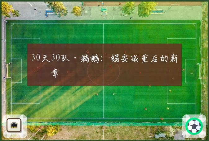 30天30队·鹈鹕：锡安减重后的新篇章